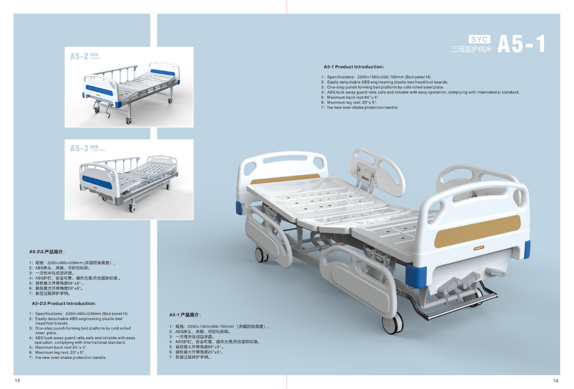 Renqiu Medical 2022-1_08.png